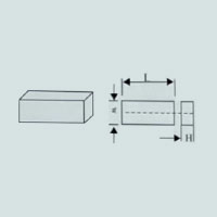 Ring magnet